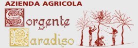 Sorgente Paradiso