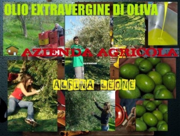 Olio d&#039;oliva Siciliano
